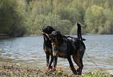 BEAUCERON 701